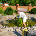 koi pond builder