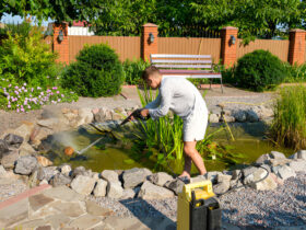 koi pond builder