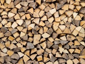 Firewood