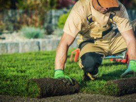 First Landscaping Consultation